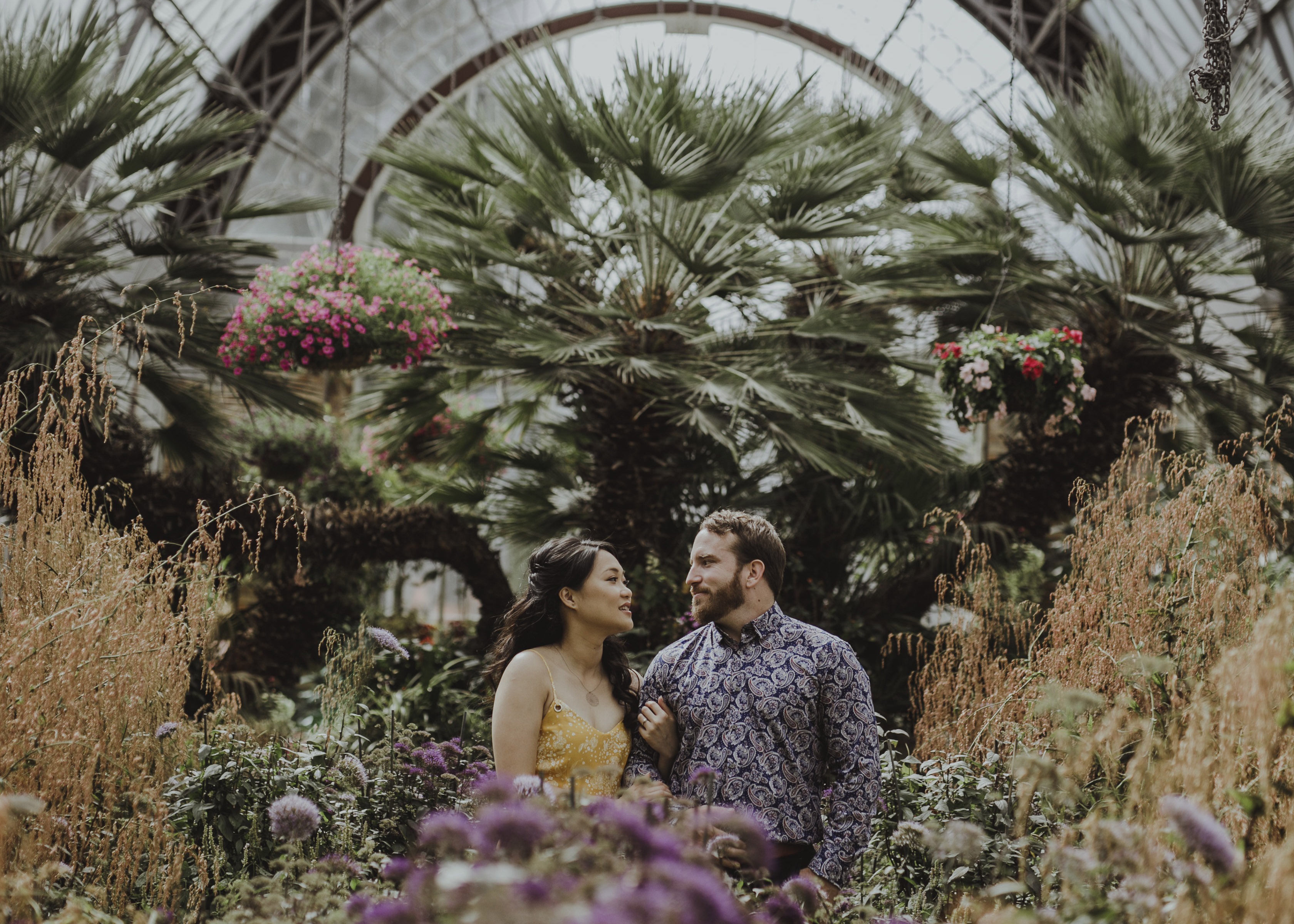 winter, gardens, domain, best, engagement, shoot, locations, auckland, new zealand, couples, photography